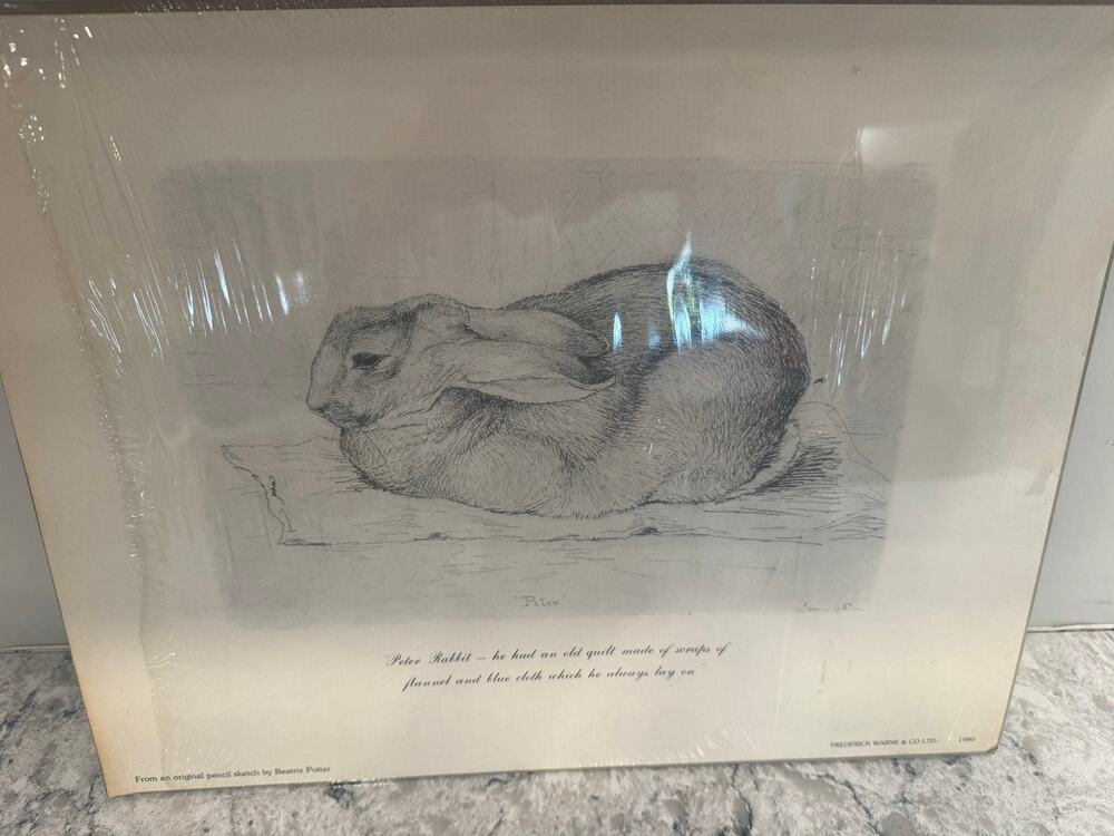 1980 Print by Frederick Warne & Co. Featuring a Pencil Sketch by Beatrix Potter